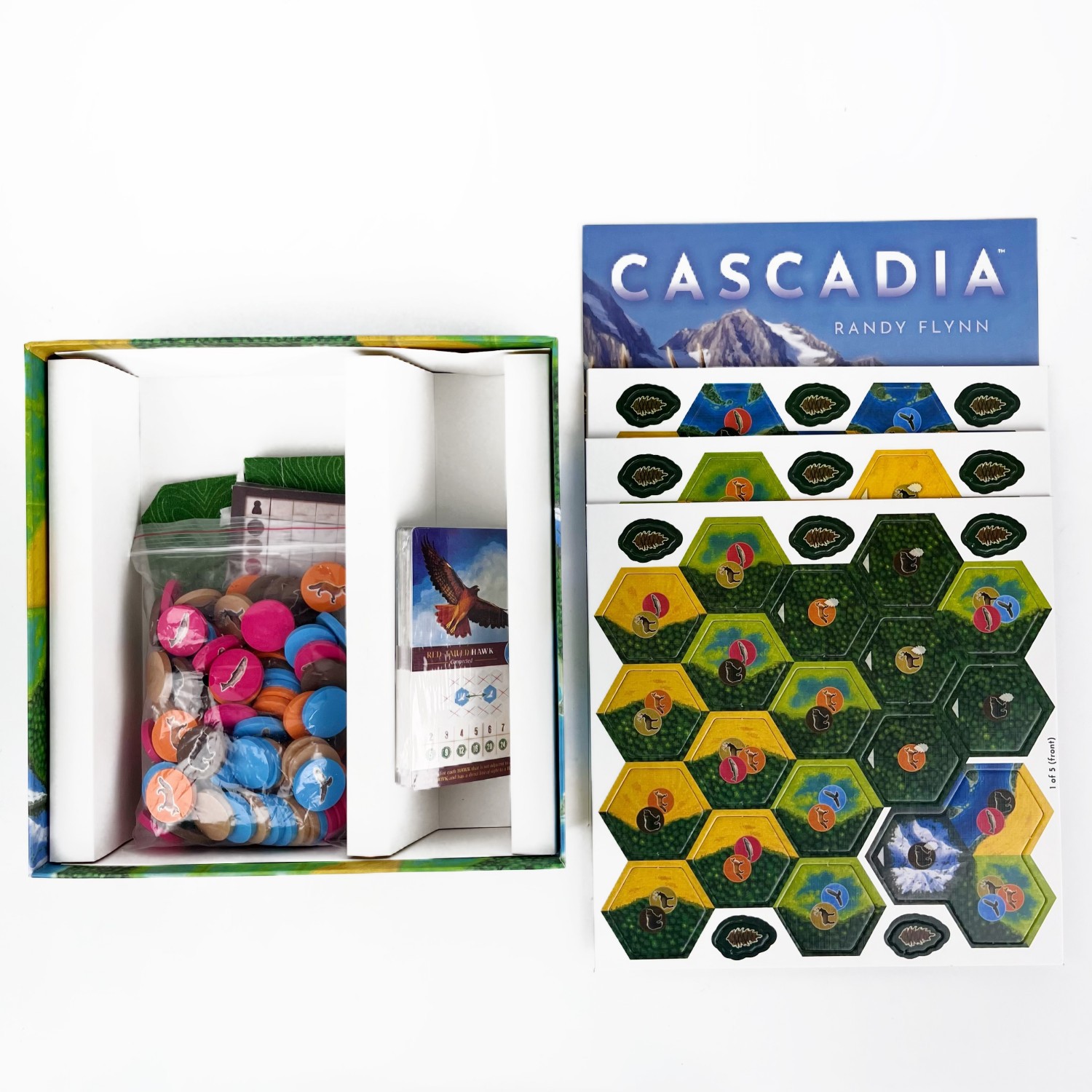Board Game Harmonies - Cascadia Masa Oyunu | 1-4 Oyunculu