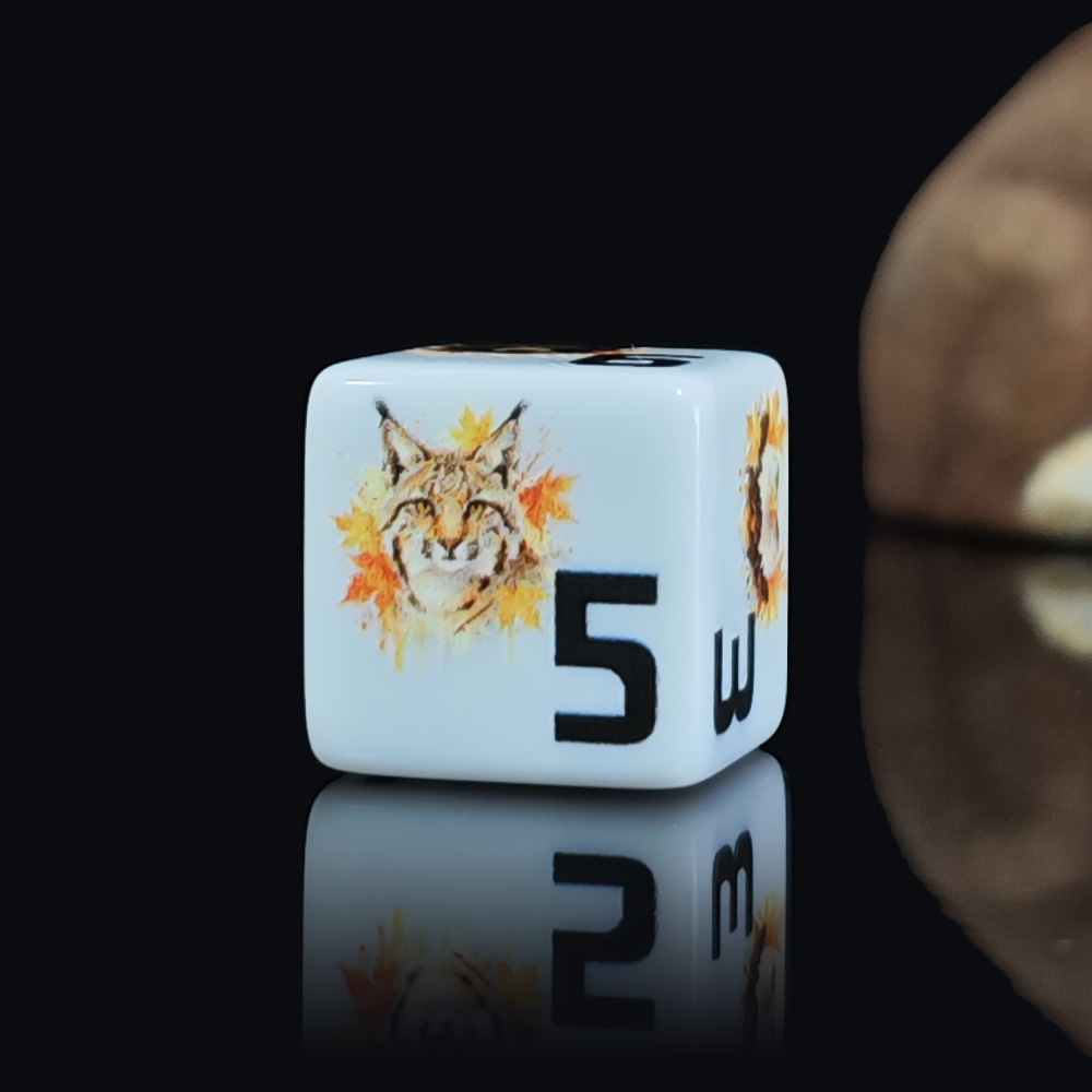 12 Adet 16MM Akrilik D6 Zar, S - Board Game Wild Wild incelemesi ve fiyatı